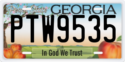 GA license plate PTW9535