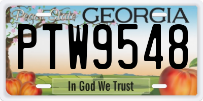 GA license plate PTW9548