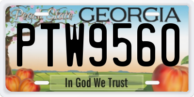 GA license plate PTW9560