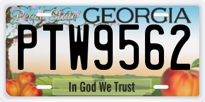 GA license plate PTW9562