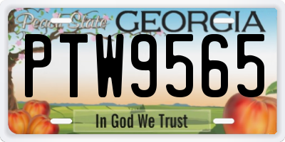 GA license plate PTW9565