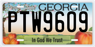 GA license plate PTW9609