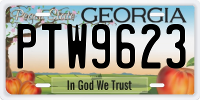 GA license plate PTW9623
