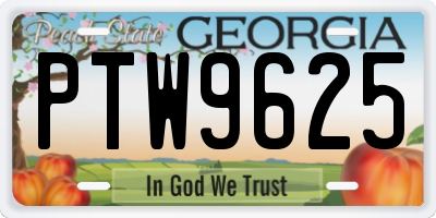 GA license plate PTW9625