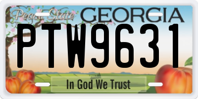 GA license plate PTW9631