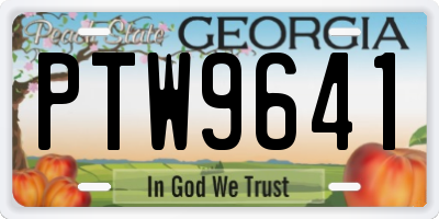 GA license plate PTW9641