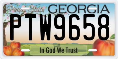 GA license plate PTW9658