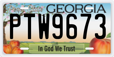 GA license plate PTW9673