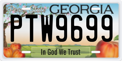 GA license plate PTW9699