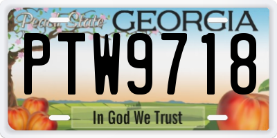 GA license plate PTW9718