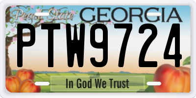 GA license plate PTW9724