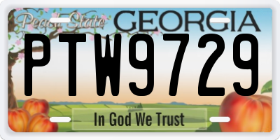 GA license plate PTW9729
