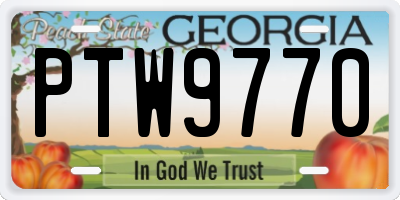 GA license plate PTW9770