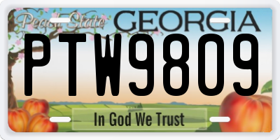 GA license plate PTW9809