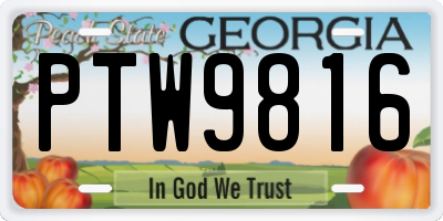 GA license plate PTW9816