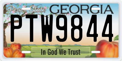 GA license plate PTW9844