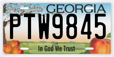 GA license plate PTW9845