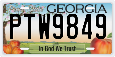 GA license plate PTW9849