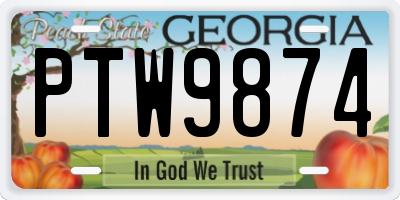 GA license plate PTW9874
