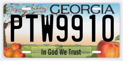 GA license plate PTW9910