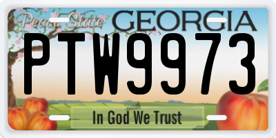 GA license plate PTW9973