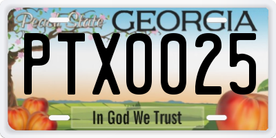 GA license plate PTX0025