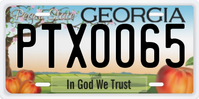 GA license plate PTX0065