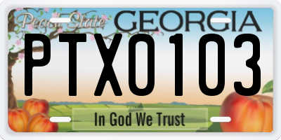 GA license plate PTX0103