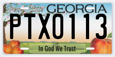 GA license plate PTX0113