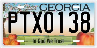 GA license plate PTX0138