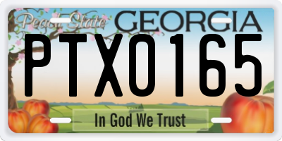 GA license plate PTX0165