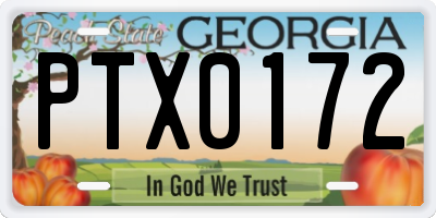 GA license plate PTX0172