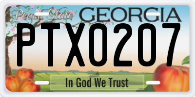 GA license plate PTX0207