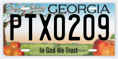 GA license plate PTX0209