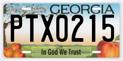 GA license plate PTX0215