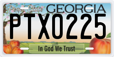 GA license plate PTX0225
