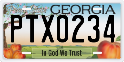 GA license plate PTX0234
