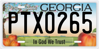 GA license plate PTX0265