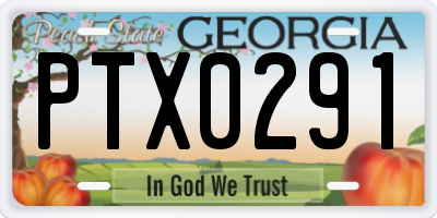GA license plate PTX0291