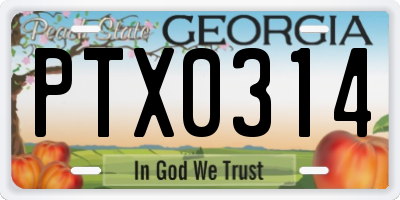 GA license plate PTX0314