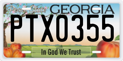 GA license plate PTX0355