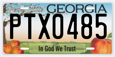GA license plate PTX0485