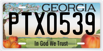 GA license plate PTX0539