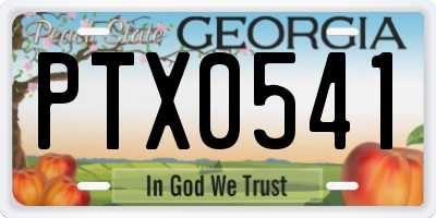 GA license plate PTX0541