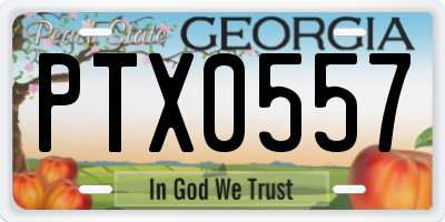 GA license plate PTX0557