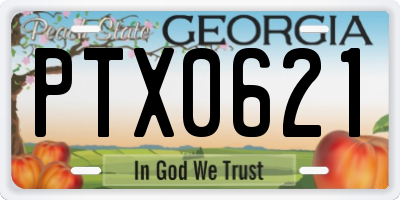 GA license plate PTX0621