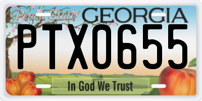 GA license plate PTX0655