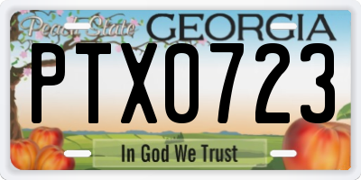 GA license plate PTX0723