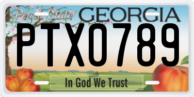 GA license plate PTX0789