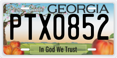 GA license plate PTX0852